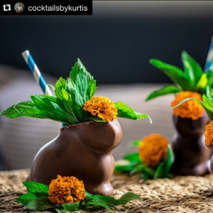 best instagram accounts to follow for cocktails and mixology
