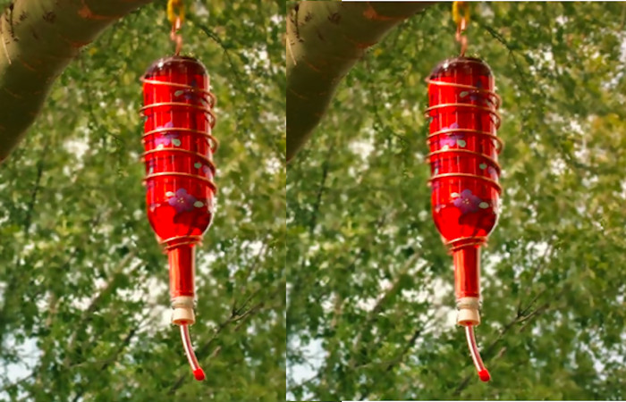 Hummingbird Wine Bottle Feeder