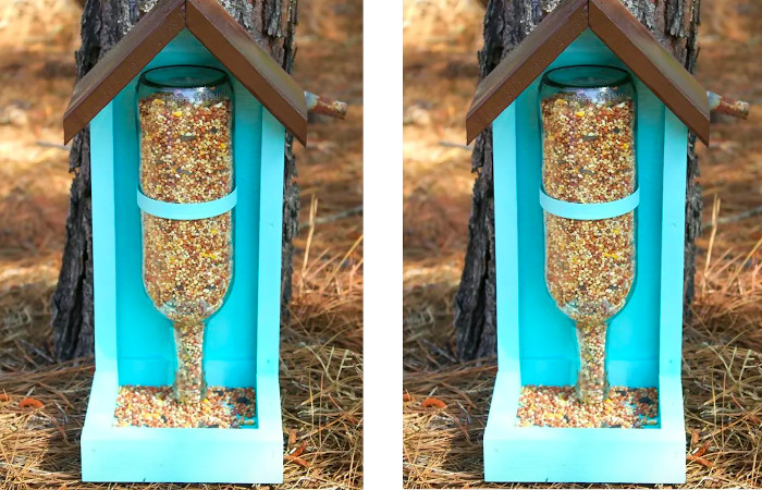 Bird Feeder
