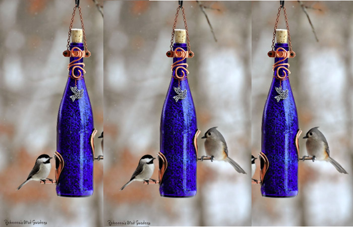 Feeder with Perch Holes